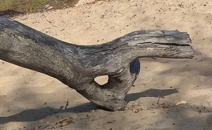 Chùm ảnh đẹp: 25 khoảnh khắc khiến bạn nhận ra rằng thế giới này còn có rất nhiều điều kì diệu