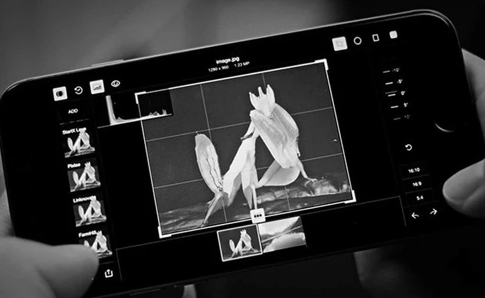 Dùng thử Polarr: dịch vụ biên tập ảnh chuyên nghiệp dành cho nhiếp ảnh gia ưa thích xê dịch