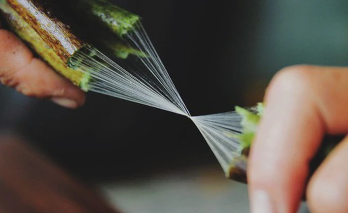 Người phụ nữ Hà Nội đầu tiên dệt lụa từ tơ sen: 4.800 cuống sen cho một chiếc khăn quàng cổ dài 1,7 mét