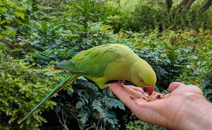 Rò rỉ ảnh mẫu cho thấy một lần nữa camera là điểm nhấn tuyệt vời của Google Pixel 3 XL