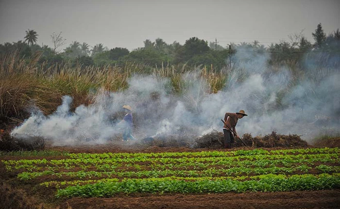 Trung Quốc: Lắp 4339 camera an ninh để ngăn chặn nông dân đốt rơm gây ô nhiễm môi trường