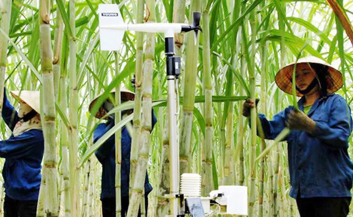 Báo Nhật ngỡ ngàng vì doanh nghiệp nông nghiệp Việt Nam có ao tôm sử dụng trí thông minh nhân tạo, nuôi bò dùng chip, cảm biến và robot