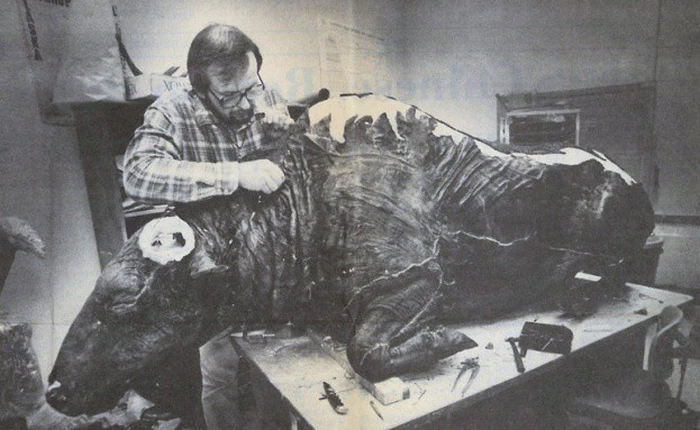 Các nhà khảo cổ làm gì khi phát hiện ra xác ướp bò rừng 36.000 năm tuổi? Họ đã... làm thử món bò hầm?