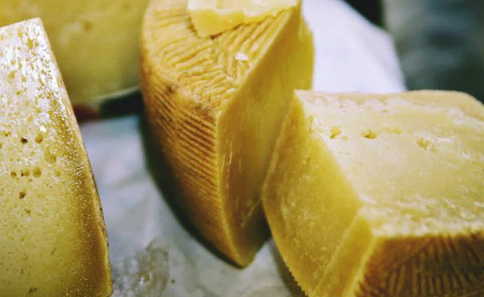 Con người đã tiến hóa cùng... pho-mai - khó tin nhưng đấy lại là sự thật