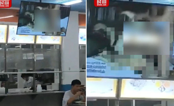 Trung Quốc: Phim người lớn bỗng chiếu ở căng tin Đại học, nhà trường bảo "bị hack đấy"