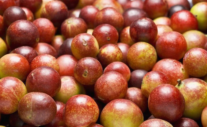 Tưởng là mận chín kinh điển của Hà Nội, nhưng khi bổ ra lại là thức quả hàng tỷ người khao khát