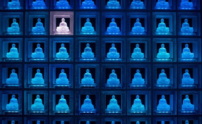 Đây là 7 điều không tưởng mà bạn có thể làm với cơ thể mình sau khi chết