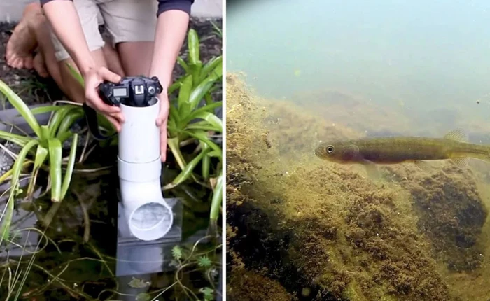 Mẹo chụp ảnh dưới nước: tưởng khó hóa ra quá dễ!