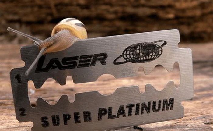 Tại sao ốc sên có thể bò qua lưỡi dao cạo sắc lẻm mà không hề hấn gì hết?