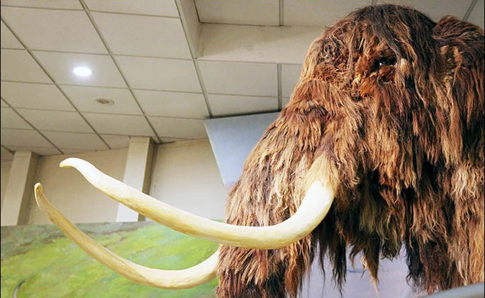 Nga chi 5,9 triệu USD cho nghiên cứu hồi sinh động vật tiền sử như trong Jurassic World