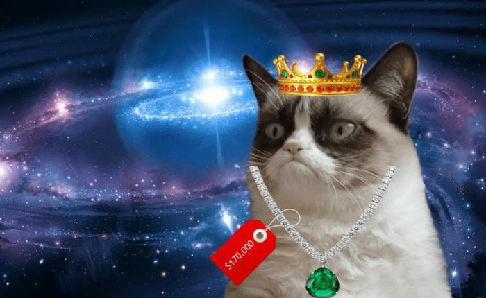 Ai đó vừa trả 4 tỷ đồng để mua một chú mèo ảo CryptoKitty