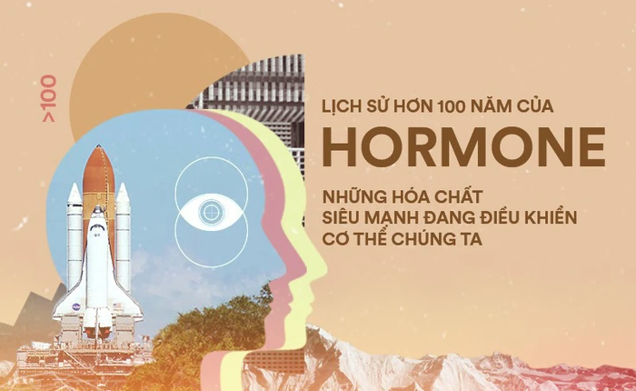 Lịch sử hơn 100 năm của hormone, những hóa chất siêu mạnh đang điều khiển cơ thể chúng ta