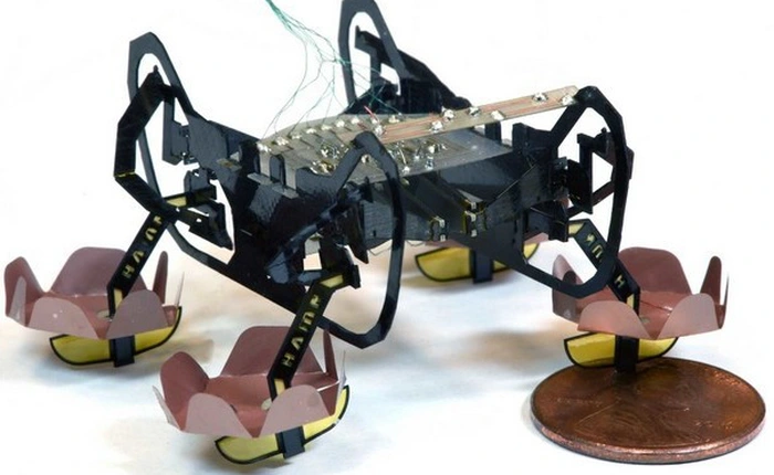 Harvard phát triển thành công robot đổ bộ siêu nhỏ có thể bơi lội, đi bộ dưới nước và lên bờ thành thạo