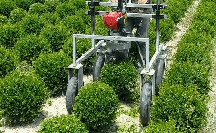 Cỗ máy chỉ làm đúng một việc là tỉa cây cho tròn vo này sẽ khiến những người thợ làm vườn phải lo lắng