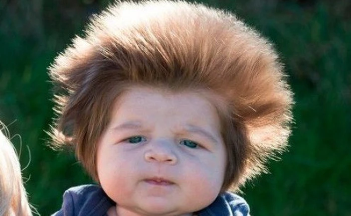 Được photoshop theo vô vàn cách đáng yêu, "Bé Gấu" tóc xù trở thành trung tâm chú ý của cộng đồng mạng