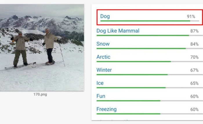 Bạn có tin không, nhận dạng hình ảnh của Google bảo đây là một chú cún
