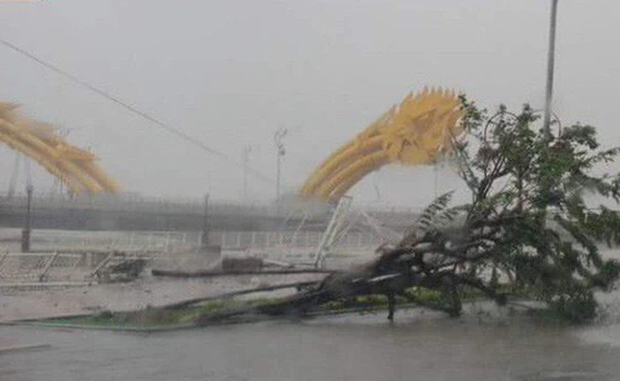 Thông tin cầu Rồng gãy đôi, nhiều người rơi xuống sông là tin đồn nhảm