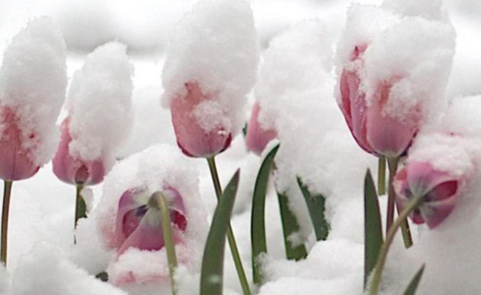 7 lời dối lòng mà các fan cuồng tiền số thường mắc phải