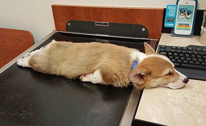 Ai cũng có lúc cảm thấy uể oải, nhưng có người biết chọn các cách này để vượt qua những thời điểm "chán chả buồn nói"