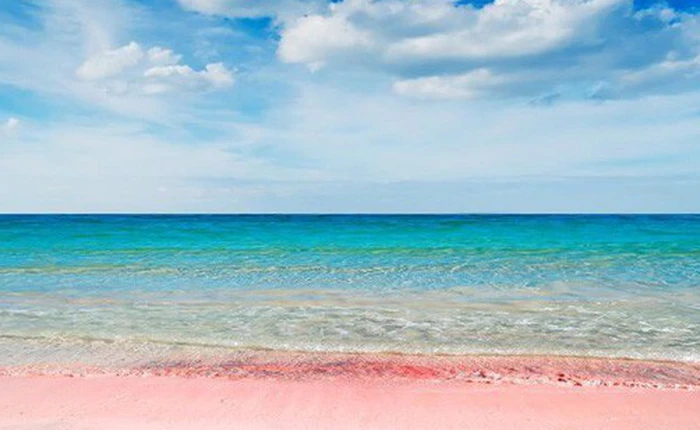 Ngắm nhìn vẻ đẹp thơ mộng của những bãi biển cát hồng đẹp nhất thế giới