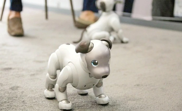 Điểm danh những mẫu robot ấn tượng nhất tại triển lãm CES 2018