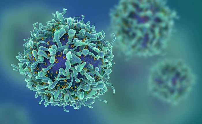 Microsoft đang sử dụng trí tuệ nhân tạo để xây dựng cơ sở dữ liệu khổng lồ về hệ miễn dịch của con người