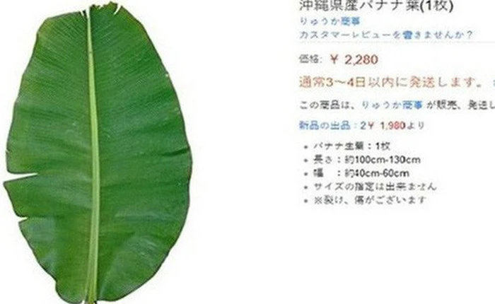 Vì sao người Việt ở Nhật phải mua lá chuối với giá 500.000 đồng/lá?