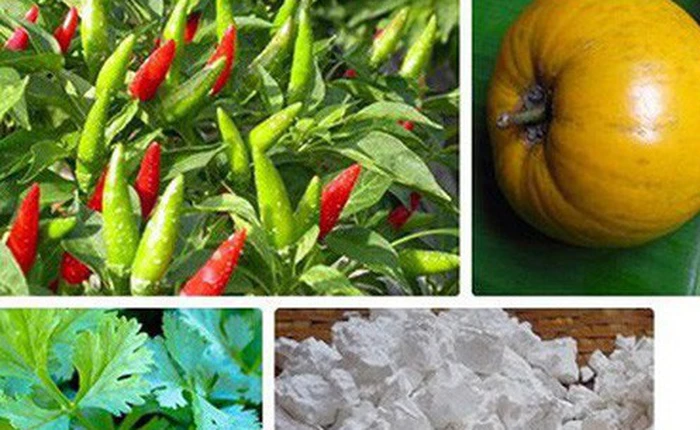 Hàng nông sản Việt Nam được chào bán trên Amazon với giá cao ngất ngưởng