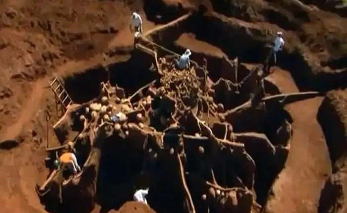 Đổ 10 tấn xi măng xuống tổ kiến dưới lòng đất, nhà khoa học không thể tin vào mắt mình khi khám phá ra "thành phố khổng lồ"