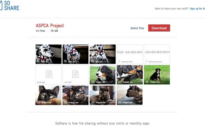 BitTorrent ra mắt SoShare, cho phép chia sẻ file nặng tới 1 TB