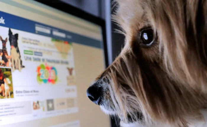 10% truy cập trên Facebook... không phải của con người