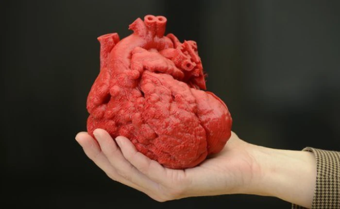 Công nghệ in 3D giúp tái tạo 100% mô hình quả tim người