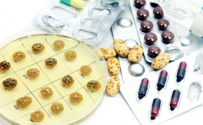 10 phát minh giúp con người tránh khỏi thảm họa diệt vong (Phần II)