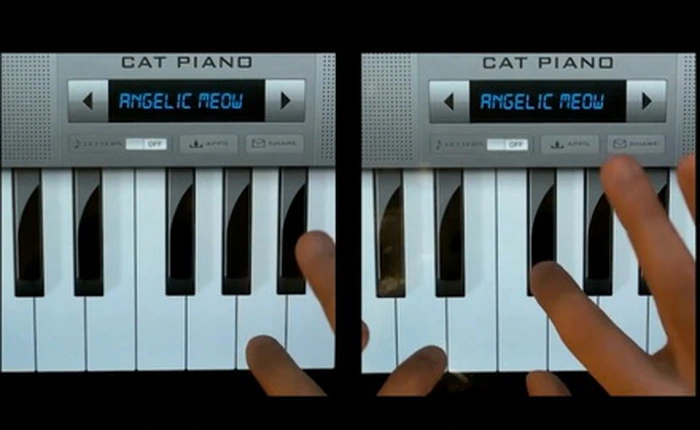 Nghe mèo "nhái" giọng Katy Perry