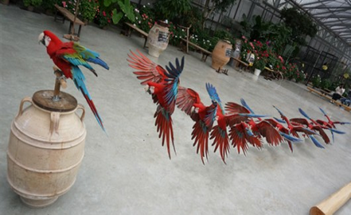 Sony phát hành 2 phần mềm mới cho máy NEX