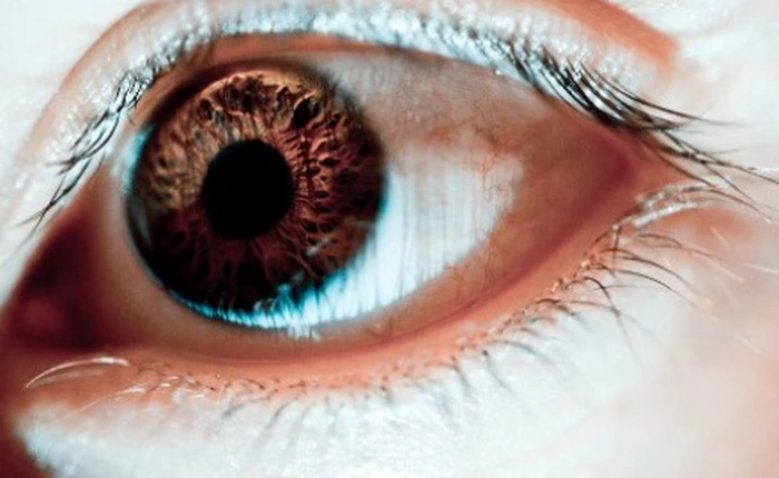 Dùng iPhone làm nền tảng cho công nghệ nhận dạng mới