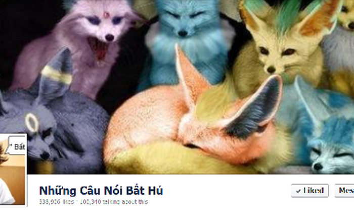 Top các fanpage phi lợi nhuận có tầm ảnh hưởng nhất Facebook Việt năm 2011