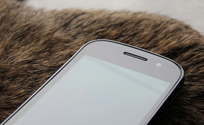 Nexus 5 sẽ có thể quay phim độ phân giải 4K UltraHD