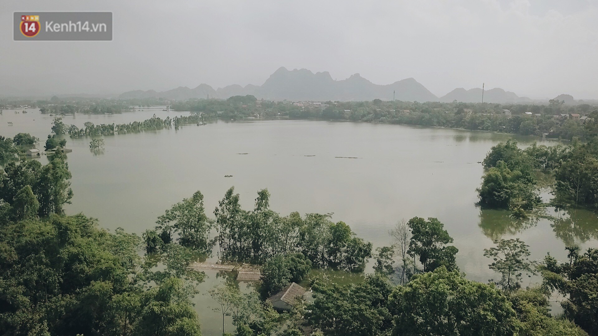 Những ng&agrave;y l&ecirc;nh đ&ecirc;nh ở Chương Mỹ: Tr&acirc;u b&ograve; lặn ngụp, vịt tr&egrave;o l&ecirc;n những m&aacute;i nh&agrave; khi nước d&acirc;ng đến tận n&oacute;c - Ảnh 2.