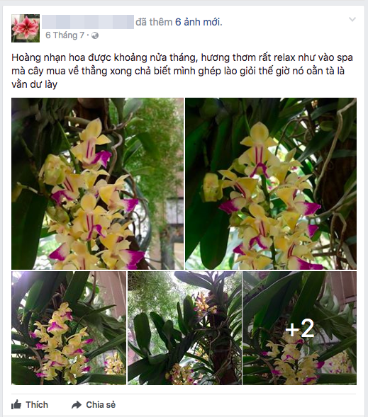 Con g&aacute;i c&oacute; chị em sinh đ&ocirc;i l&agrave; Hoa hậu, v&agrave; đ&acirc;y l&agrave; phản ứng kh&ocirc;ng thể lầy hơn từ mẹ B&iacute;ch Phương! - Ảnh 2.