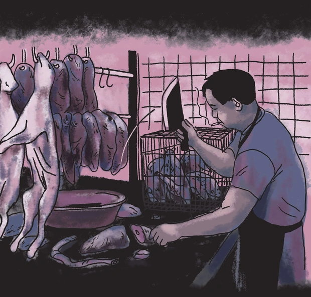 - Ảnh 2.