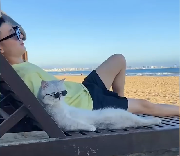 Boss m&egrave;o được sen dắt đi chơi khắp thế gian g&acirc;y sốt cộng đồng mạng Trung Quốc v&igrave; sự đ&aacute;ng y&ecirc;u si&ecirc;u cấp vũ trụ - Ảnh 1.