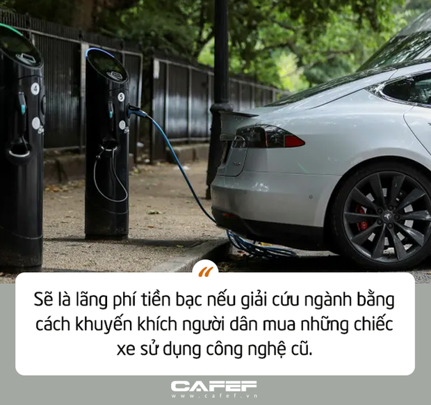    - Ảnh 7.